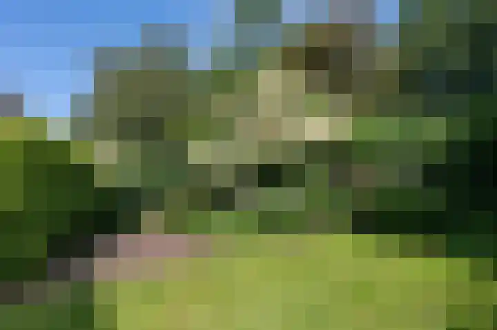 Zwaluwenveld 14 Emmen thumbnail 33