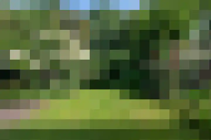 Zwaluwenveld 14 Emmen thumbnail 34