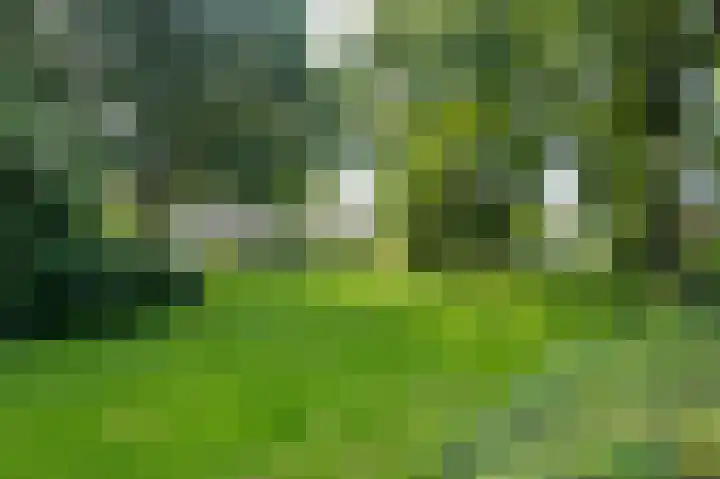 Zwaluwenveld 14 Emmen thumbnail 35