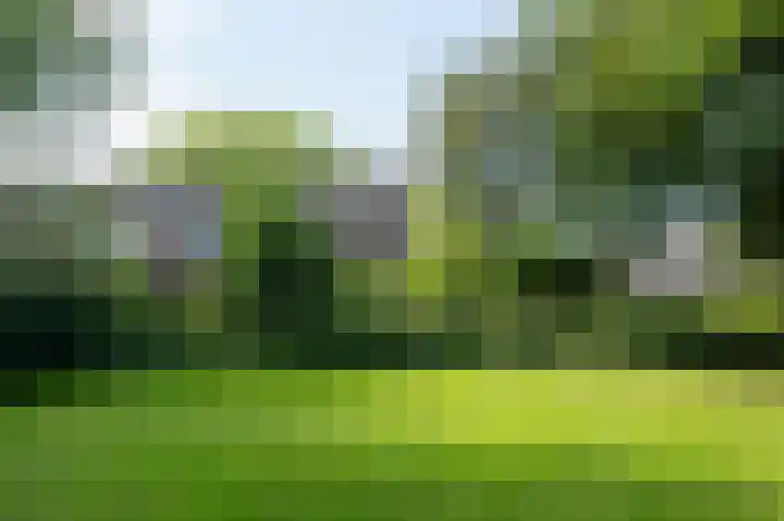 Zwaluwenveld 14 Emmen thumbnail 4