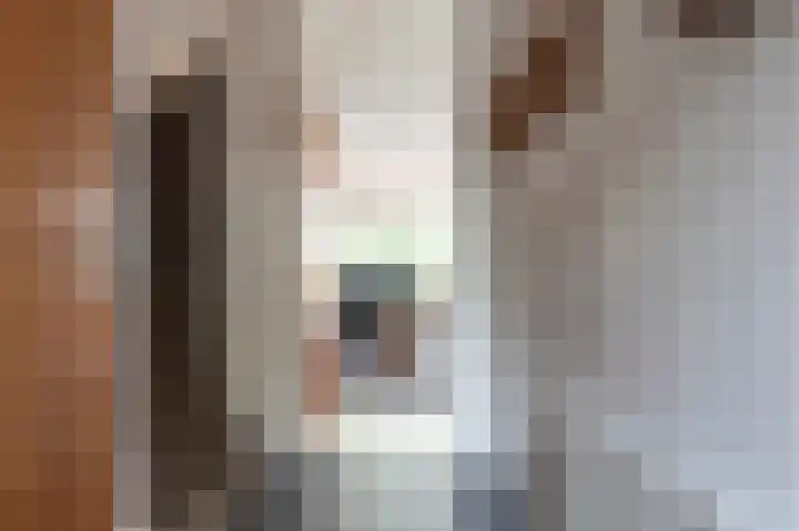 Zwaluwenveld 14 Emmen thumbnail 5