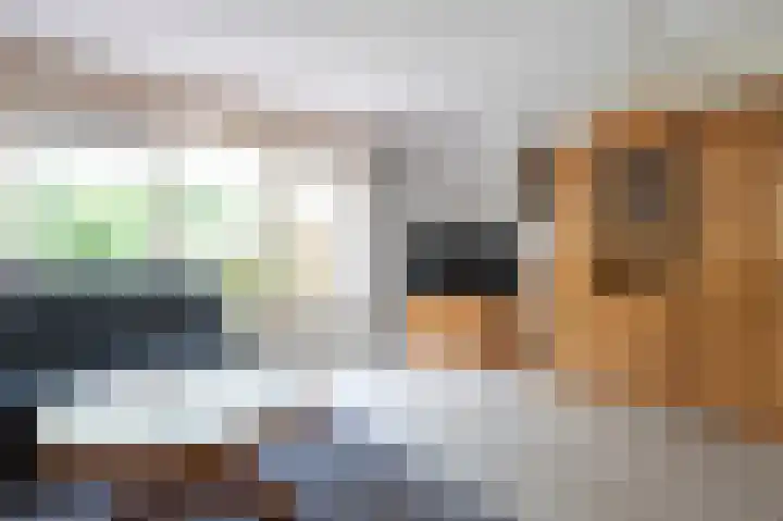 Zwaluwenveld 14 Emmen thumbnail 7