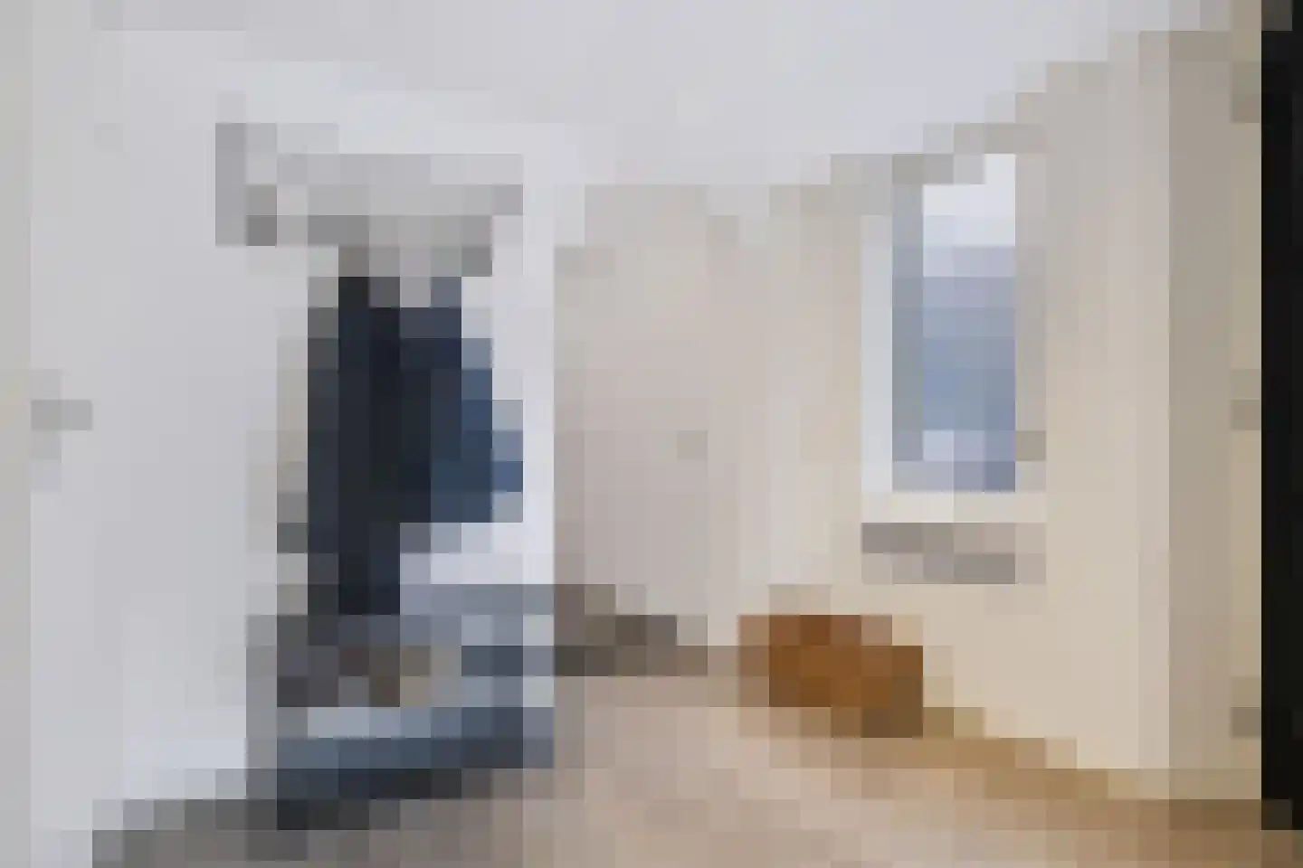 Zwaluwenveld 16 Emmen thumbnail 13