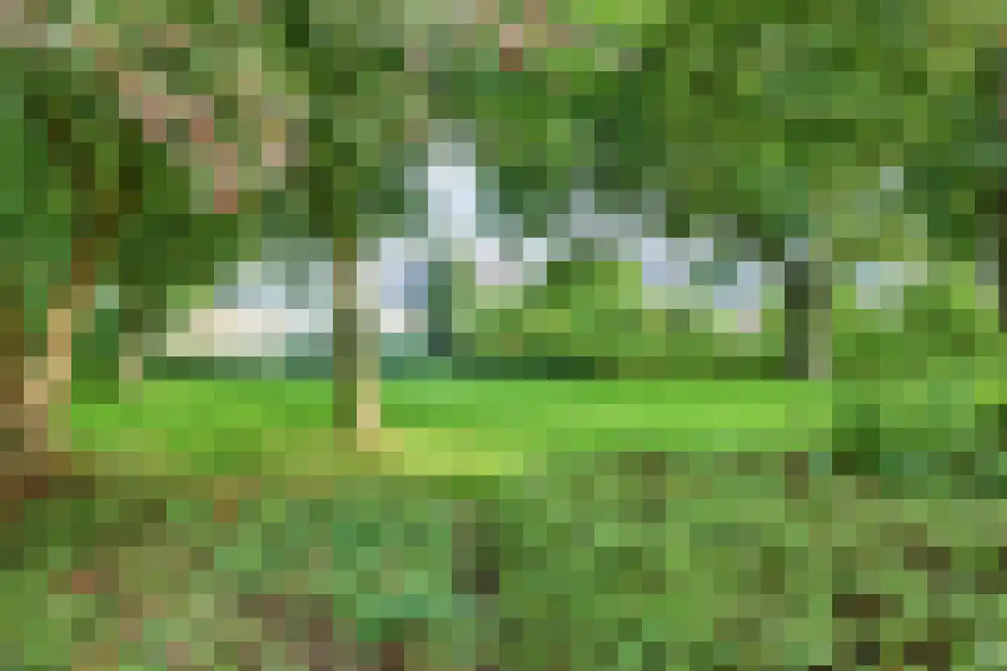 Zwaluwenveld 16 Emmen thumbnail 33