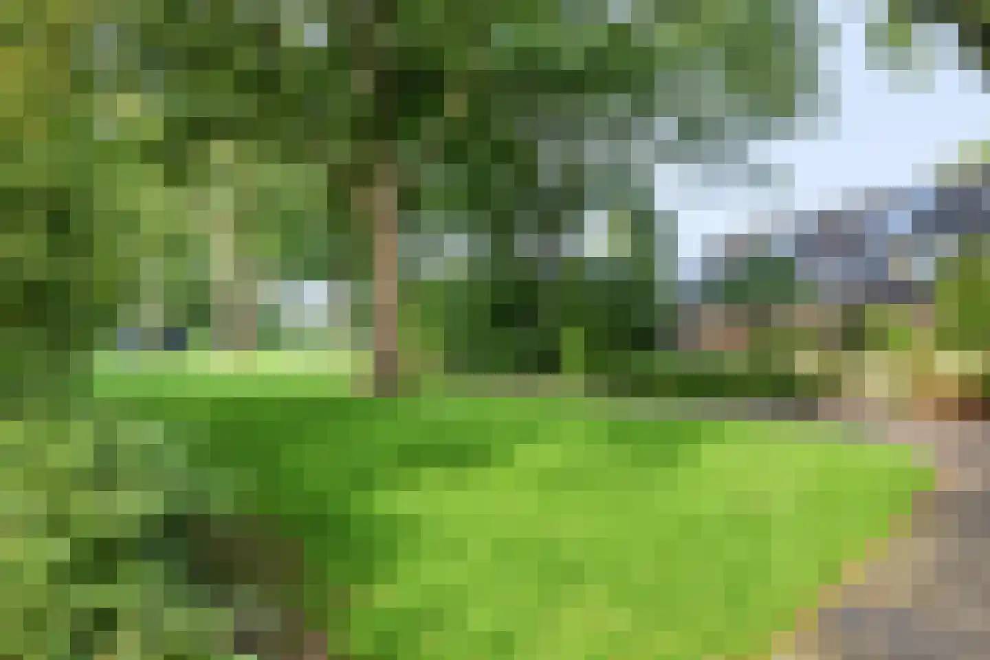 Zwaluwenveld 16 Emmen thumbnail 34