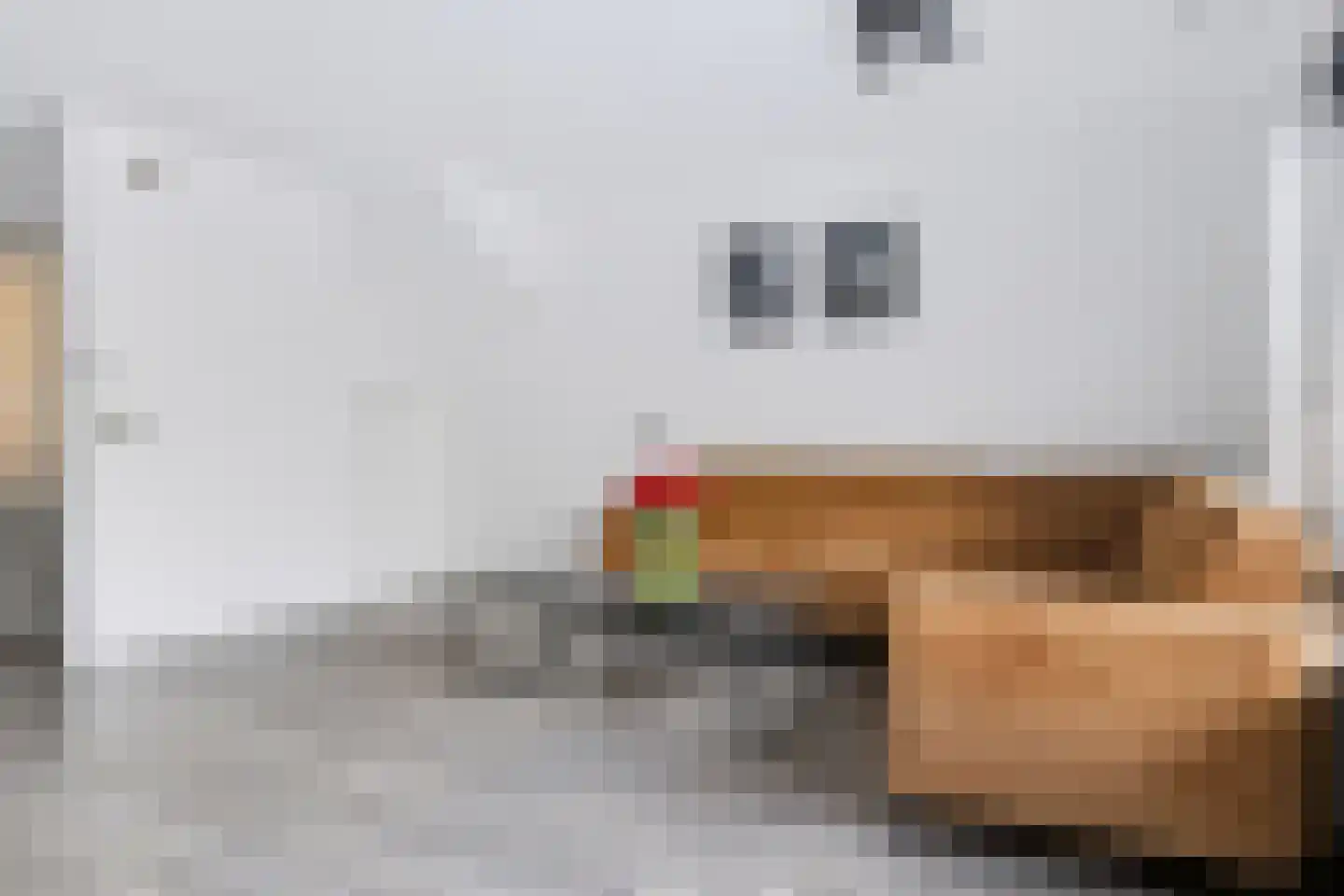 Zwaluwenveld 16 Emmen thumbnail 8