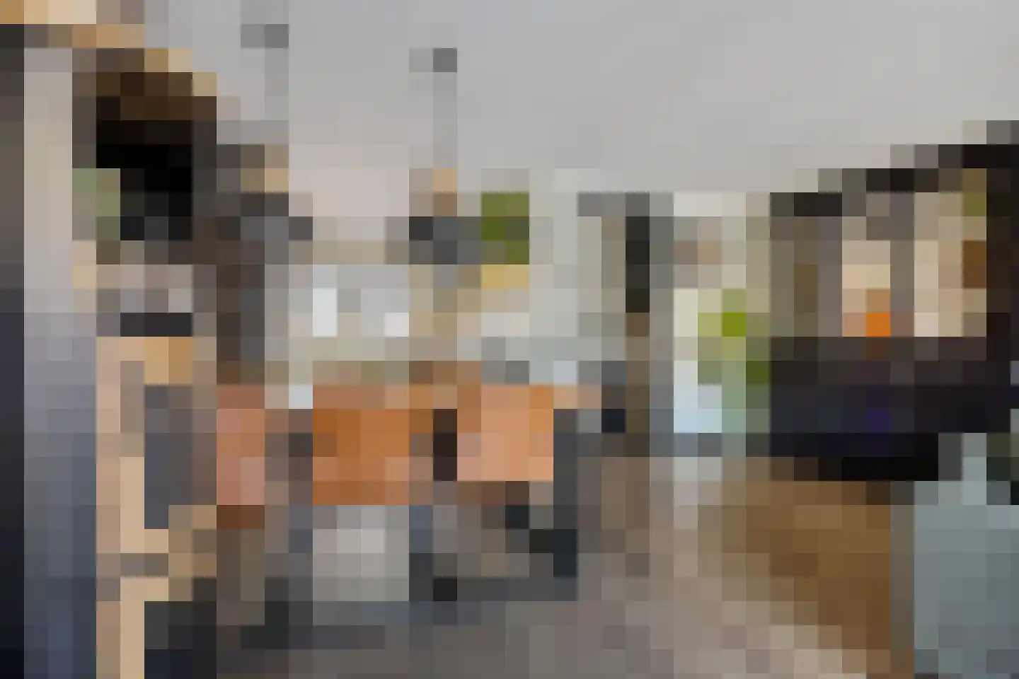 Zwaluwenveld 19 Emmen thumbnail 11