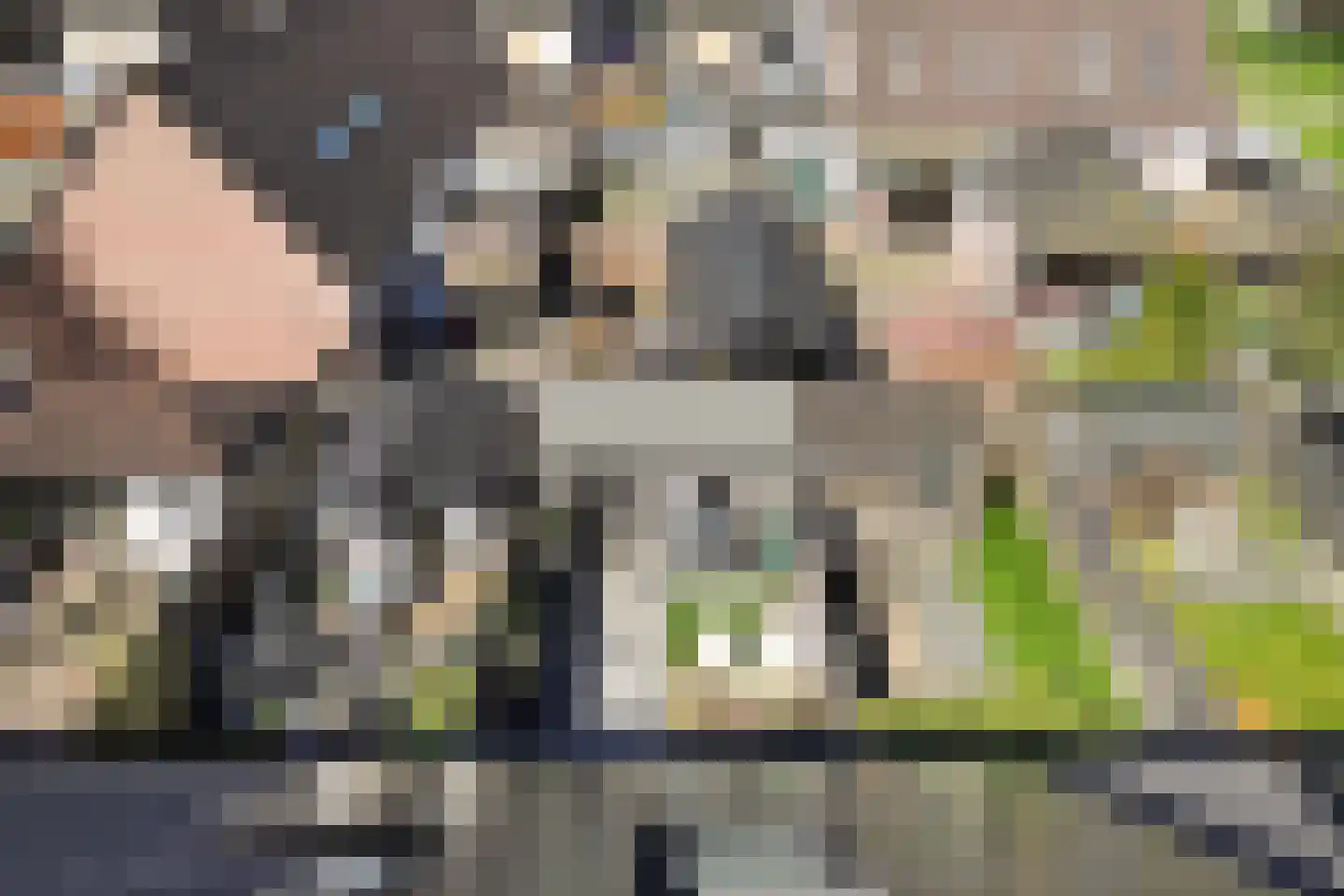 Zwaluwenveld 19 Emmen thumbnail 34