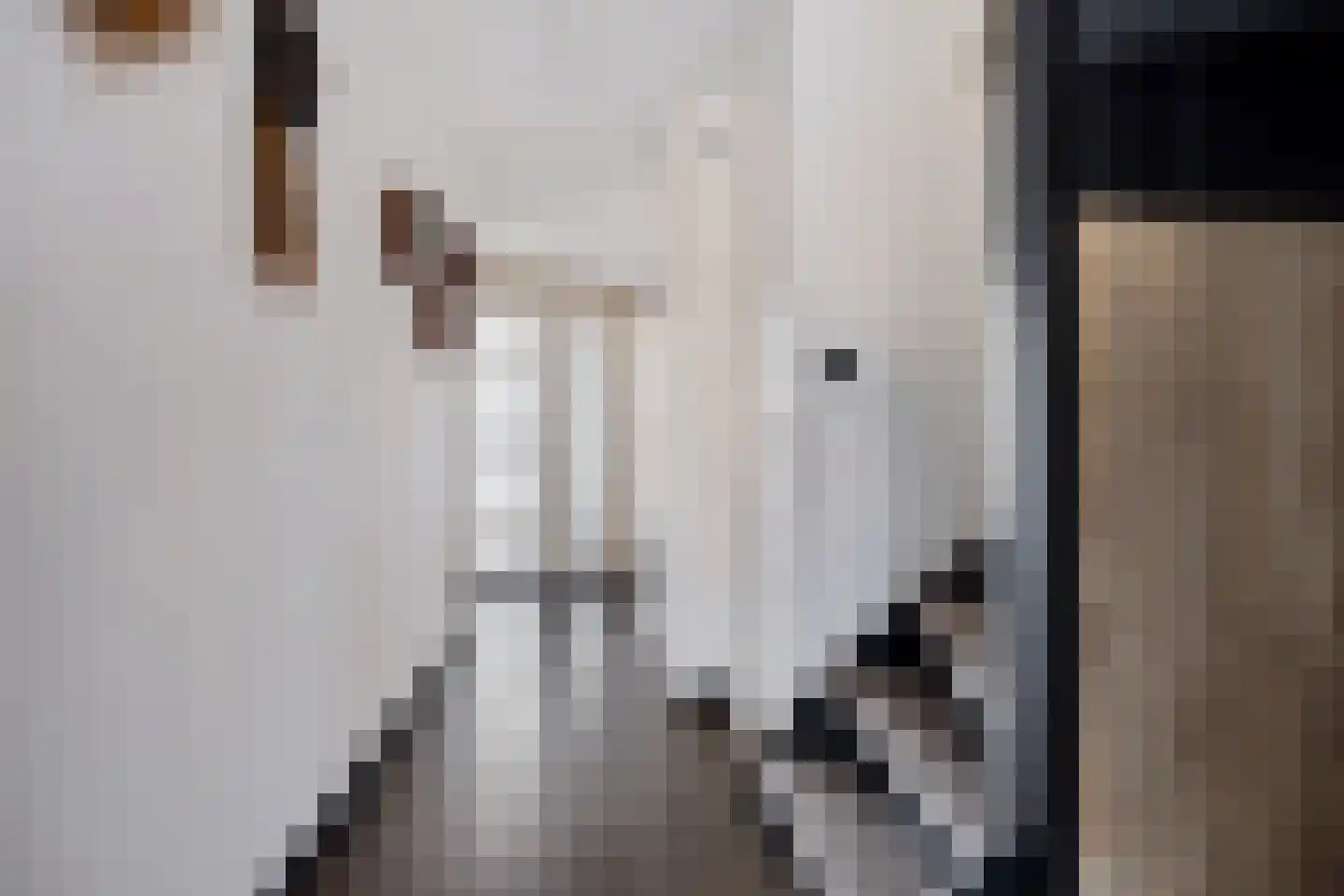 Zwaluwenveld 19 Emmen thumbnail 7