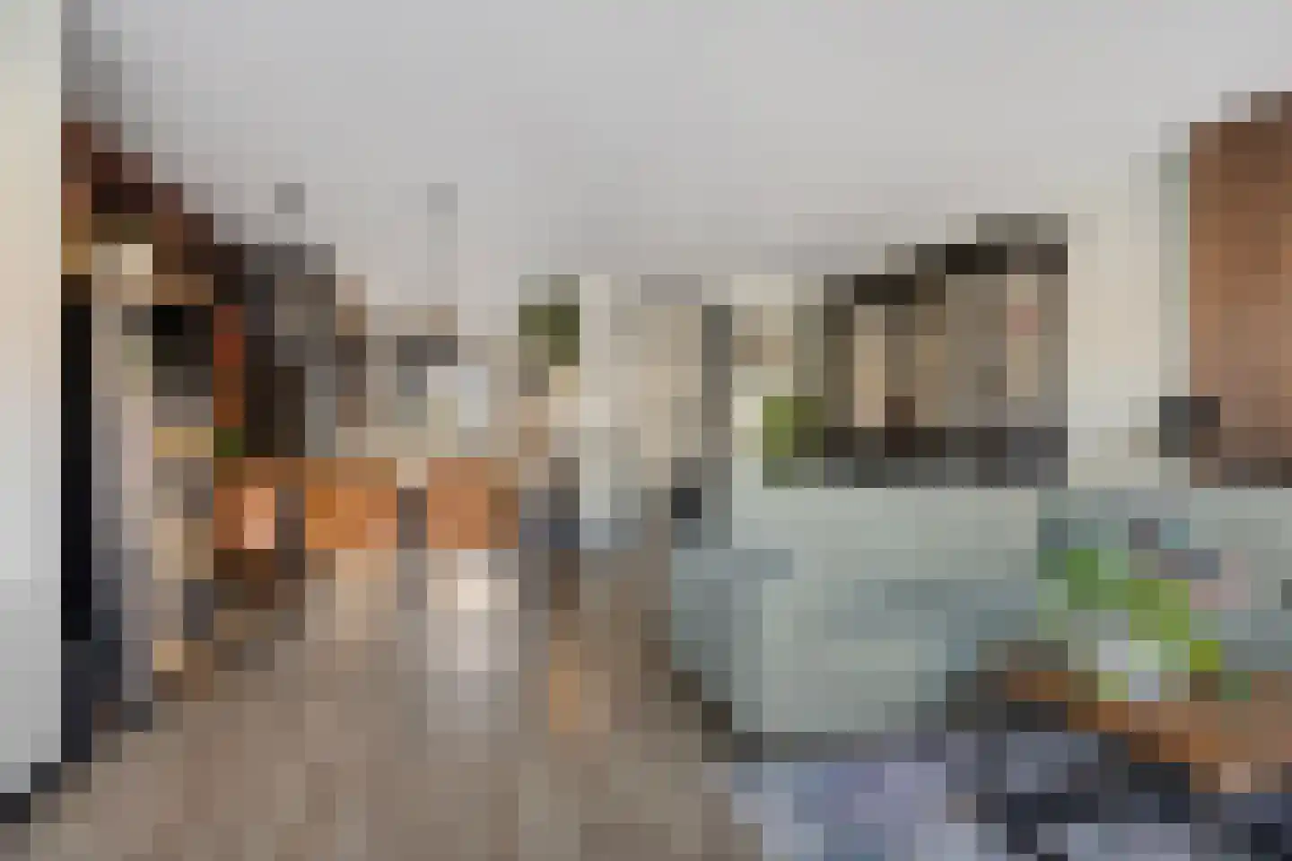 Zwaluwenveld 19 Emmen thumbnail 8