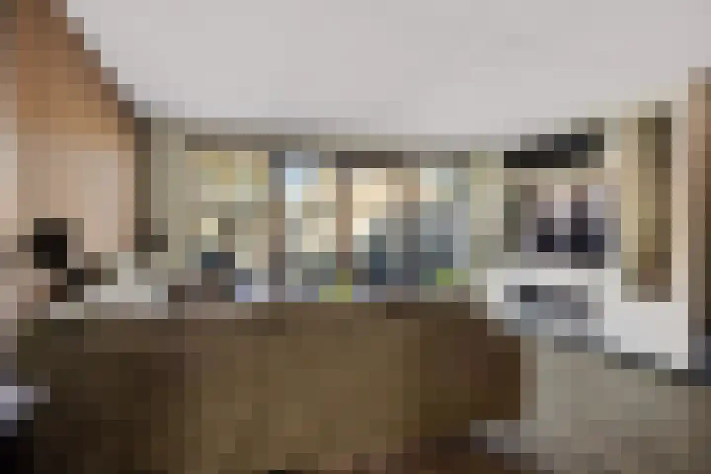 Zwaluwenveld 19 Emmen thumbnail 9