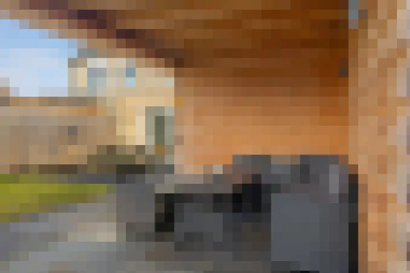Zwaluwenveld 24 Emmen thumbnail 33