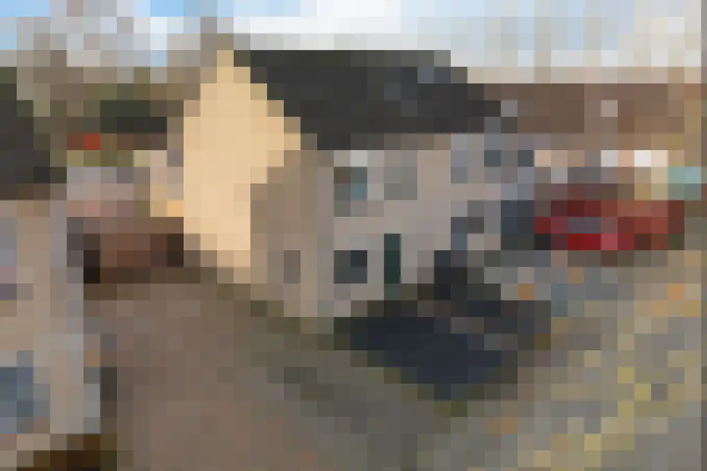 Zwaluwenveld 24 Emmen thumbnail 38