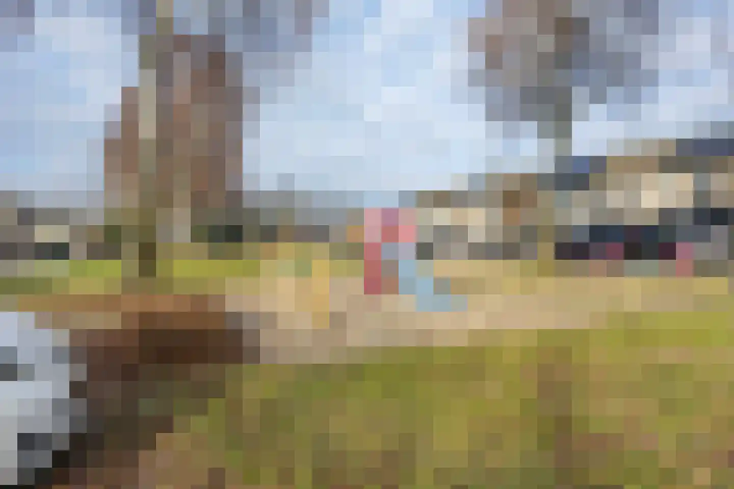 Zwaluwenveld 24 Emmen thumbnail 40