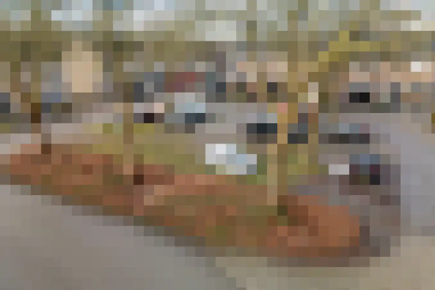 Zwaluwenveld 24 Emmen thumbnail 42