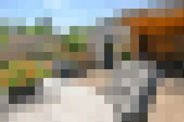 Zwaluwenveld 40 Emmen thumbnail 29