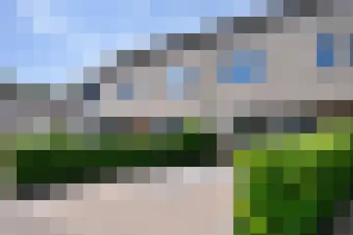 Zwaluwenveld 40 Emmen thumbnail 31