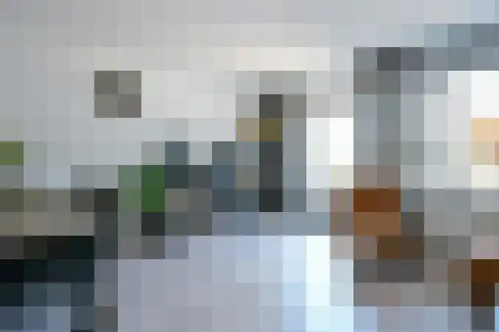 Zwaluwenveld 40 Emmen thumbnail 8