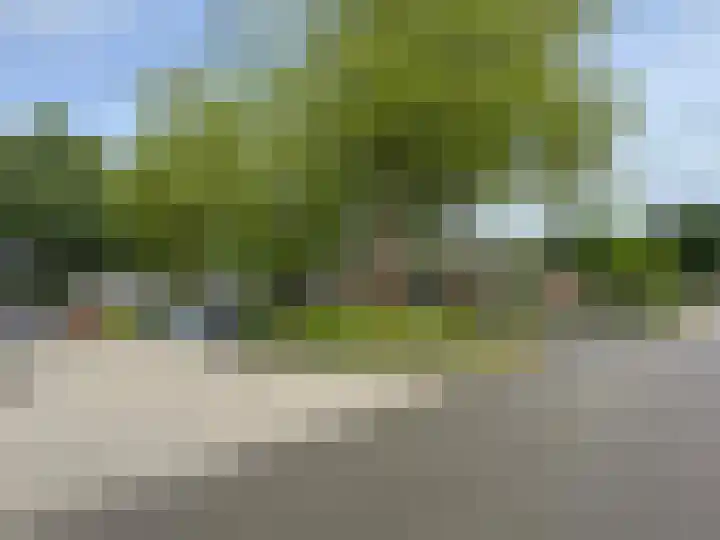 Zwaluwenveld 5 Emmen thumbnail 11