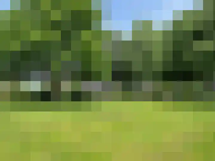 Zwaluwenveld 5 Emmen thumbnail 13