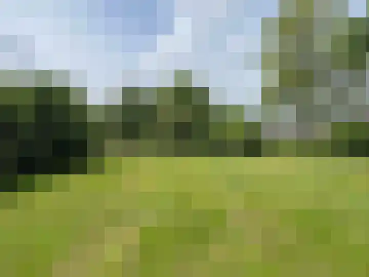 Zwaluwenveld 5 Emmen thumbnail 14