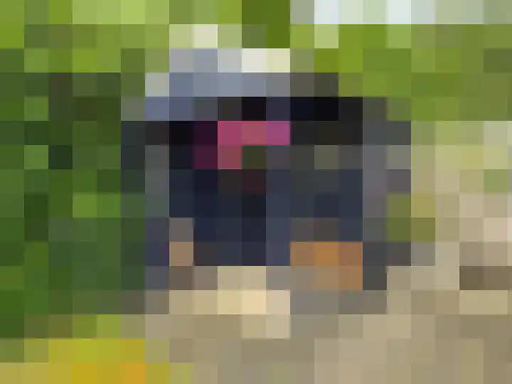 Zwaluwenveld 5 Emmen thumbnail 16