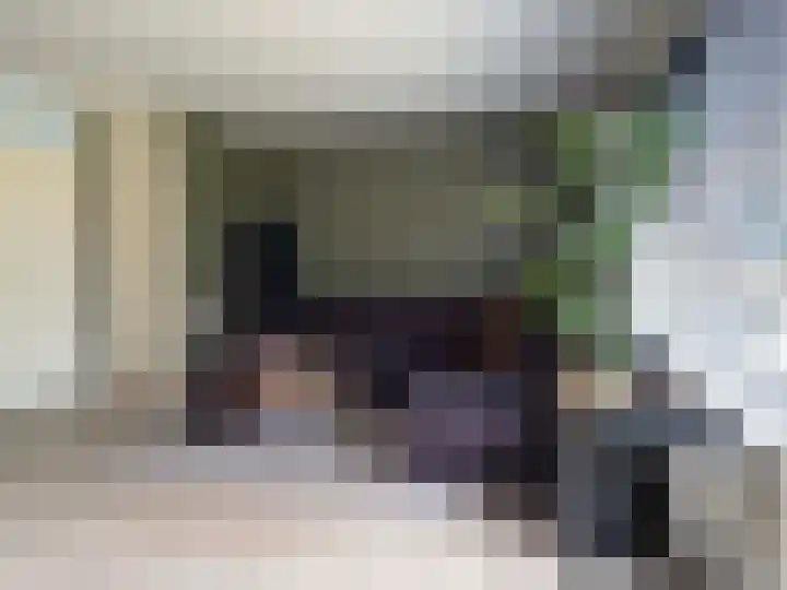 Zwaluwenveld 5 Emmen thumbnail 17