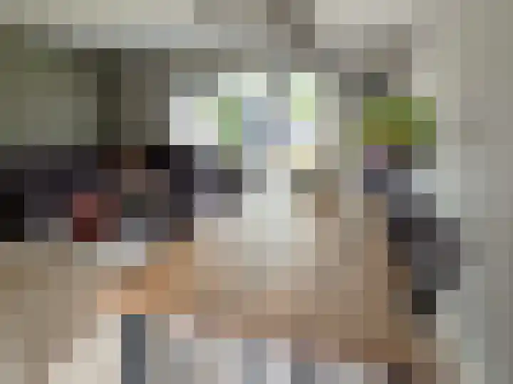 Zwaluwenveld 5 Emmen thumbnail 18
