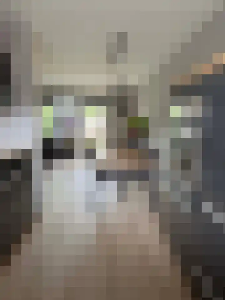 Zwaluwenveld 5 Emmen thumbnail 20