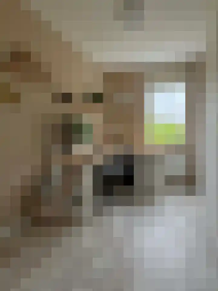 Zwaluwenveld 5 Emmen thumbnail 22