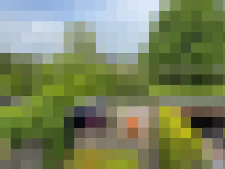 Zwaluwenveld 5 Emmen thumbnail 24