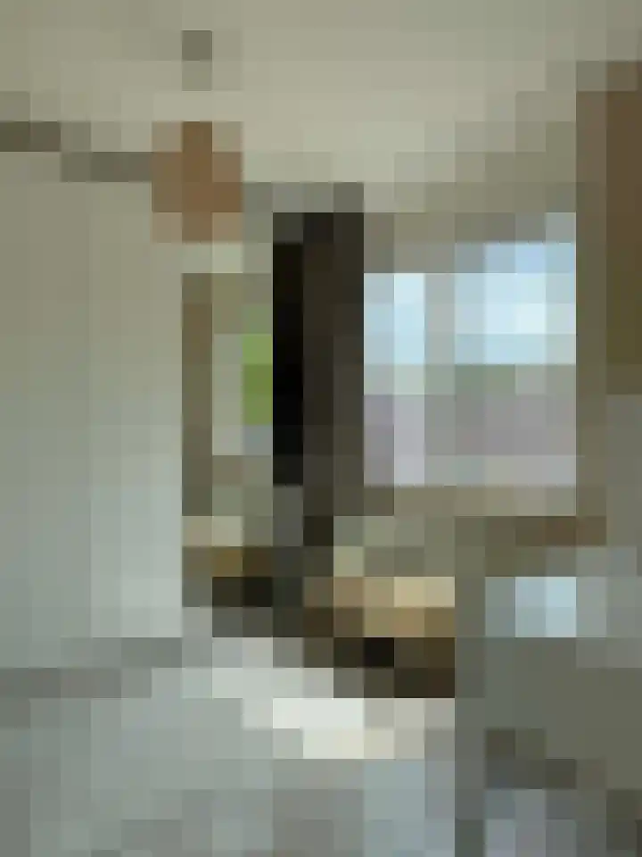 Zwaluwenveld 5 Emmen thumbnail 25