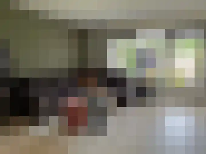Zwaluwenveld 5 Emmen thumbnail 4