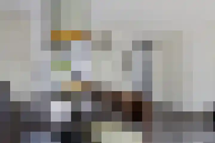 Zwaluwenveld 64 Emmen thumbnail 10