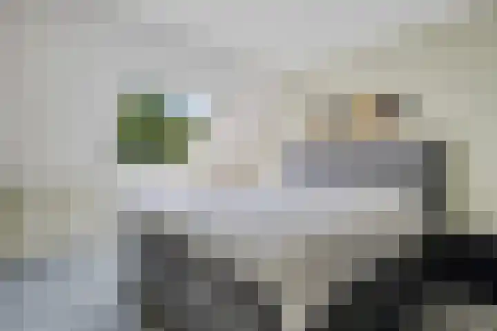 Zwaluwenveld 64 Emmen thumbnail 15