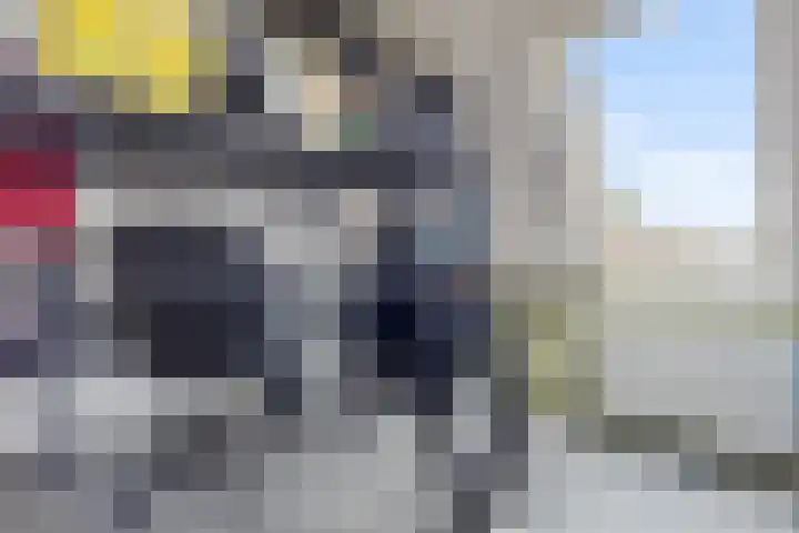 Zwaluwenveld 64 Emmen thumbnail 17