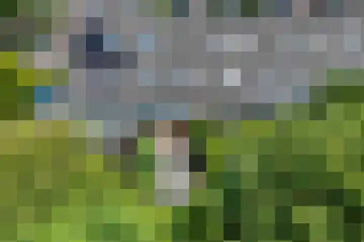 Zwaluwenveld 64 Emmen thumbnail 23