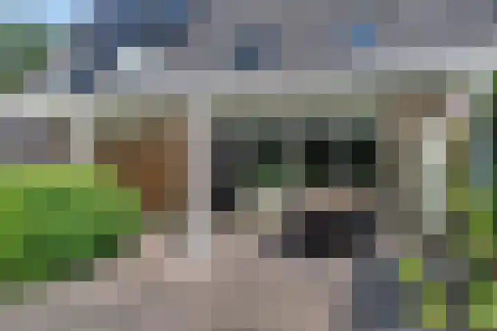 Zwaluwenveld 64 Emmen thumbnail 24