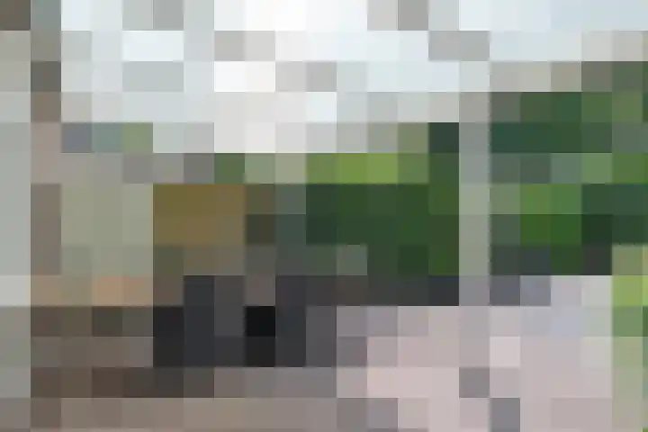 Zwaluwenveld 64 Emmen thumbnail 25