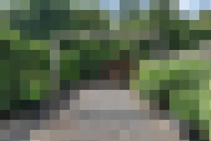Zwaluwenveld 64 Emmen thumbnail 27
