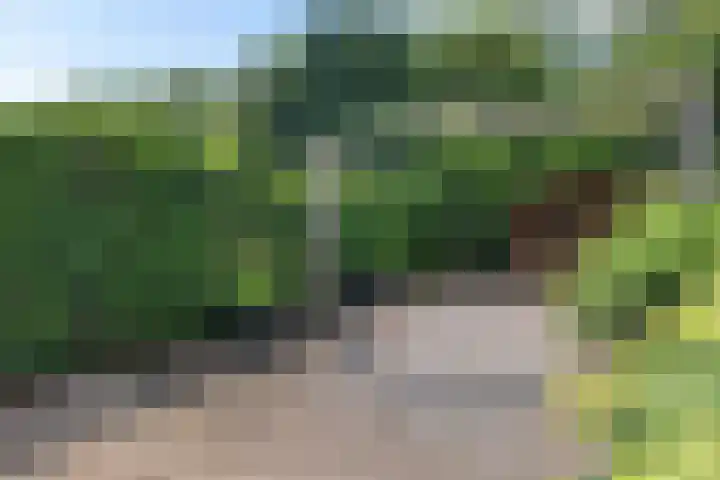 Zwaluwenveld 64 Emmen thumbnail 28