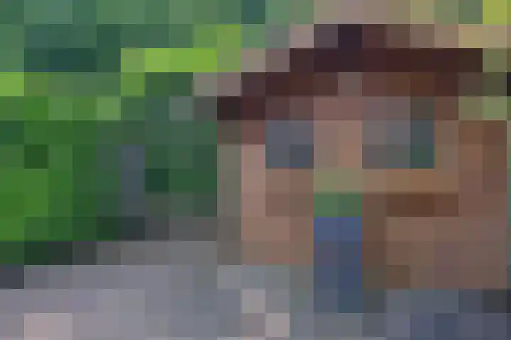 Zwaluwenveld 64 Emmen thumbnail 29