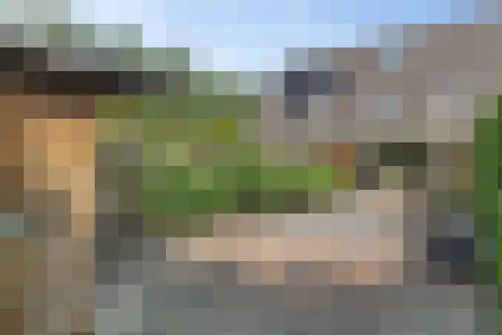 Zwaluwenveld 64 Emmen thumbnail 30