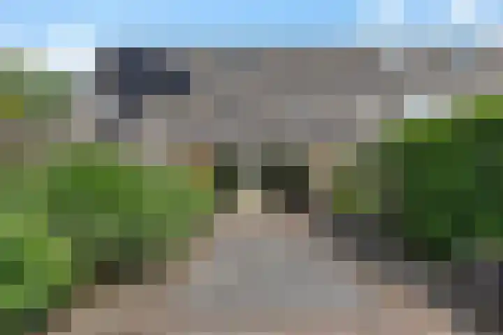 Zwaluwenveld 64 Emmen thumbnail 31