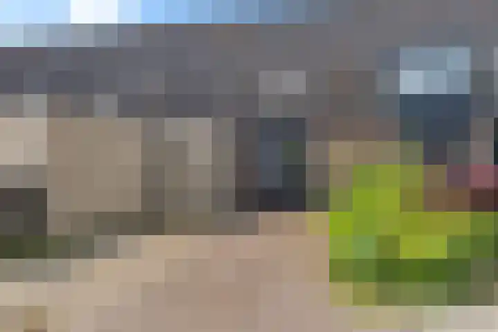 Zwaluwenveld 64 Emmen thumbnail 32