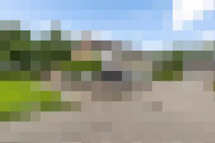 Zwaluwenveld 64 Emmen thumbnail 34