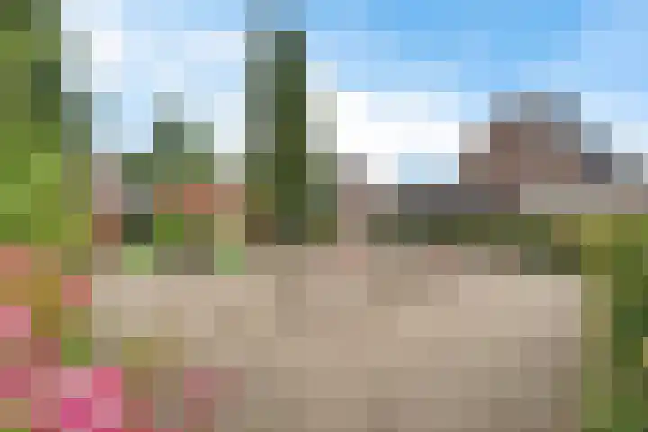 Zwaluwenveld 64 Emmen thumbnail 35