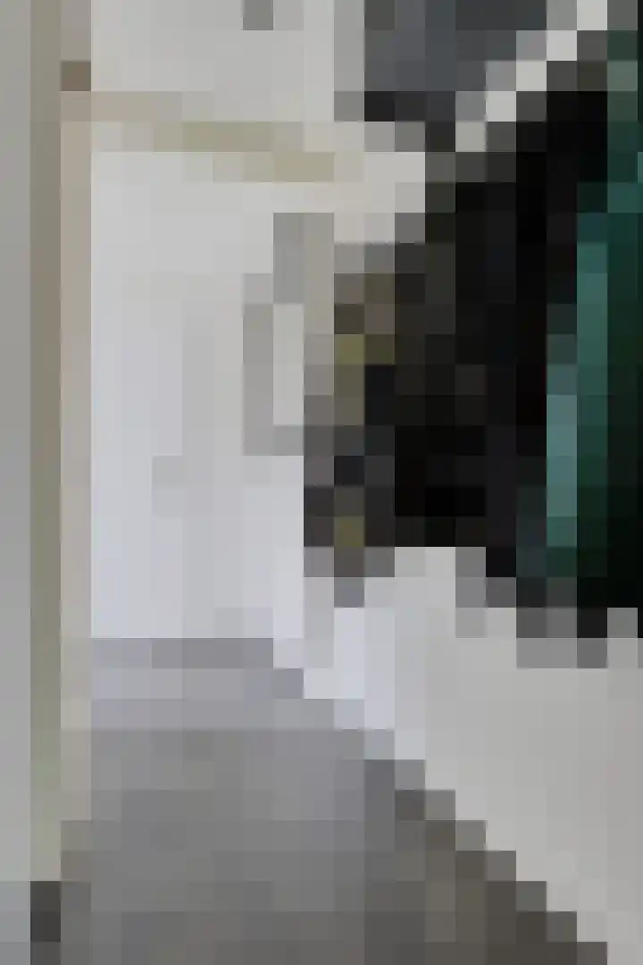 Zwaluwenveld 64 Emmen thumbnail 5