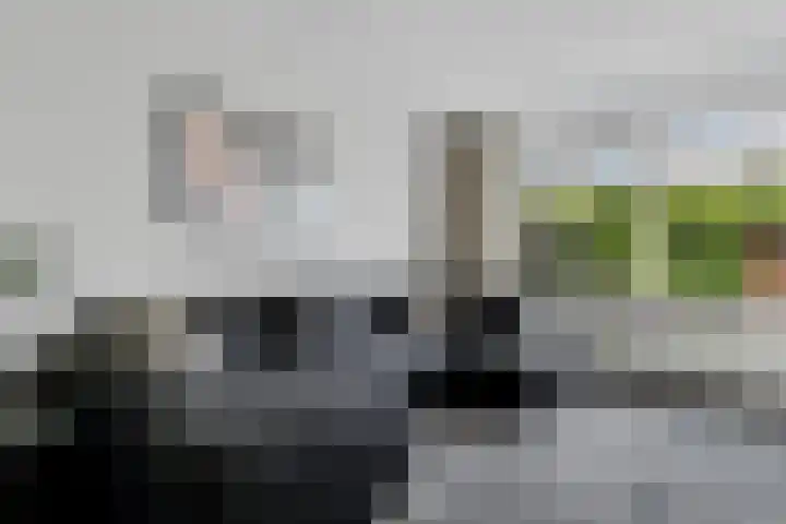 Zwaluwenveld 64 Emmen thumbnail 6
