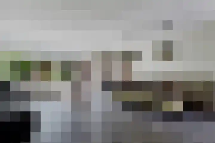 Zwaluwenveld 64 Emmen thumbnail 8